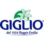 Giglio 프로모션 